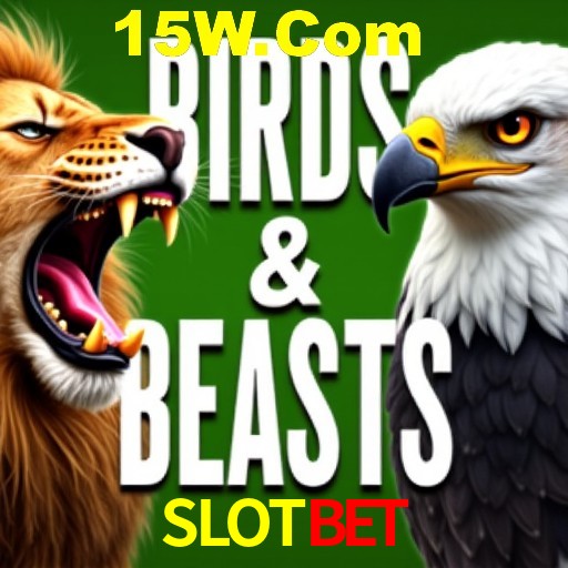 Interface do App SLOTBET